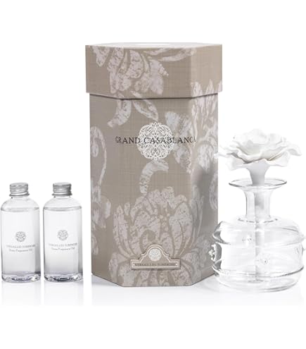 Amazon.com: Zodax Grand Casablanca Porcelain Oil Diffuser Refills